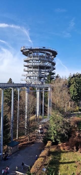 Pools, Sauna Und Balkon Mit Panoramablick Sankt Englmar Exteriér fotografie
